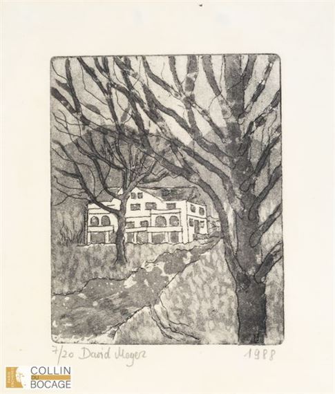 "Landscape - David Meyer