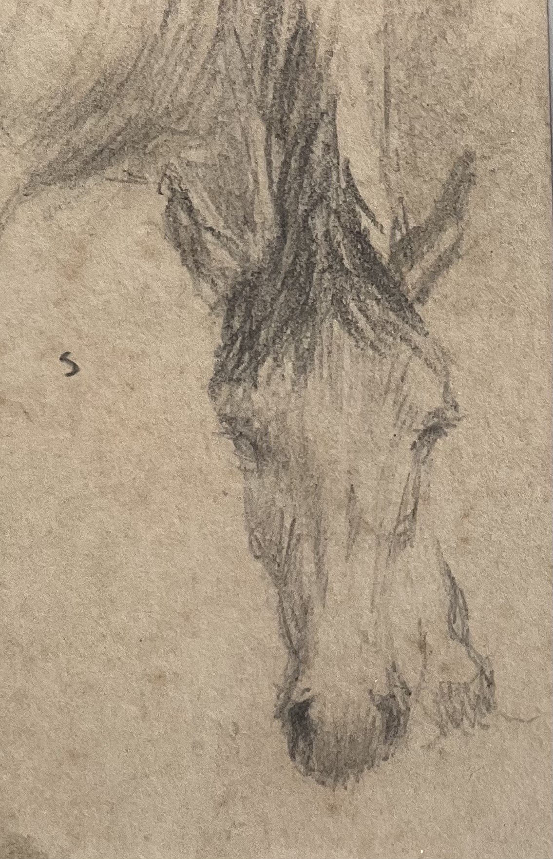 George Thomas Rope | A Horse | MutualArt