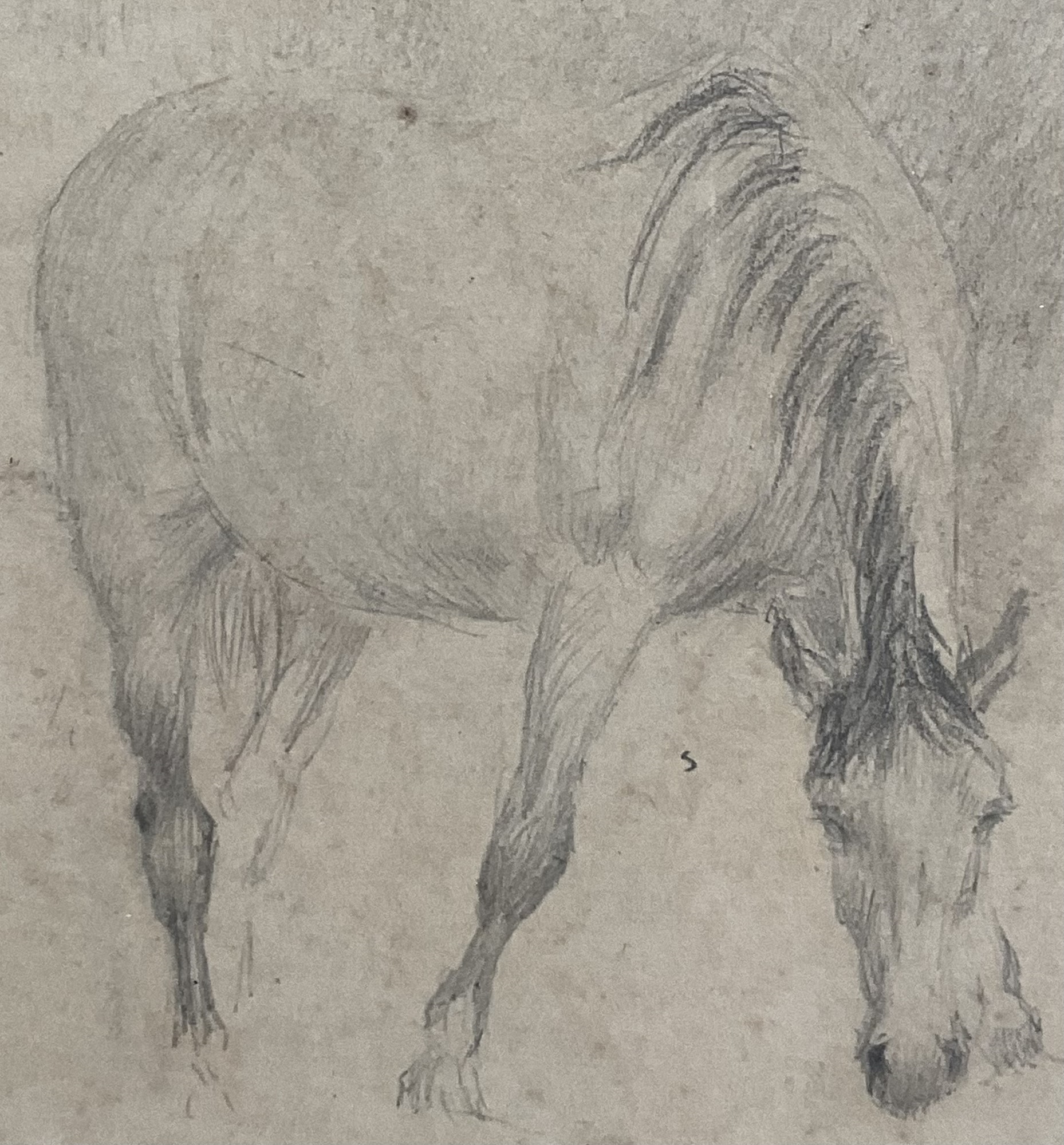 George Thomas Rope | A Horse | MutualArt