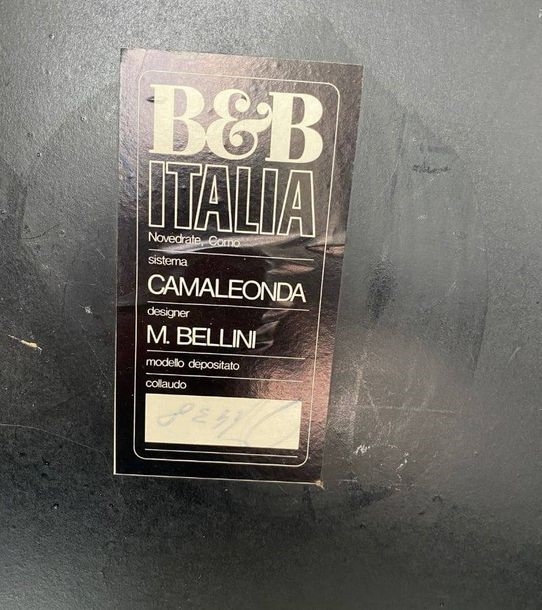 Artwork by Mario Bellini, Mario BELLINI (1935) pour B&B Italia Canapé modèle Camaleonda composé de 6 grands éléments, 2 petits éléments et 1 accotoir Tissu velours taupe, Made of velvet
