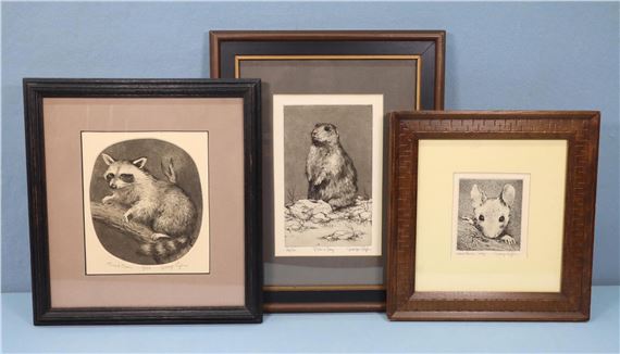 Wood Mouse - George Engle