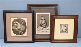 Wood Mouse - George Engle