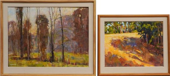 Dusk  and Summer Morning - Ron Arthaud