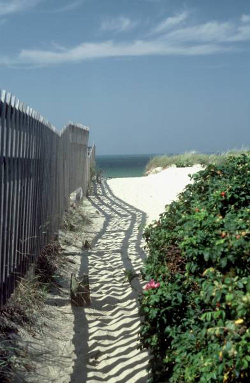 Artwork by Robert Gambee, BEACH PATH, Made of digital C-print