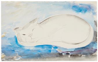 A white cat rests peacefully on a blue and grey textured surface.
