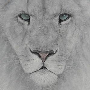 Artwork by Sato Ryusei, White Lion, Made of ink and color on paper