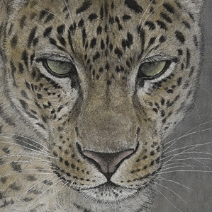 Artwork by Sato Ryusei, Leopard, Made of ink and color on paper