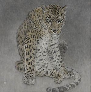 Leopard by Sato Ryusei