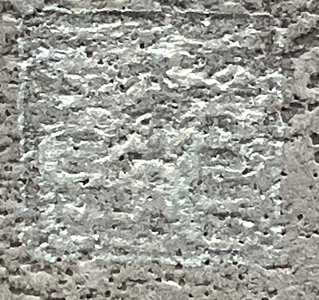 Artwork by Sato Ryusei, Leopard, Made of ink and color on paper