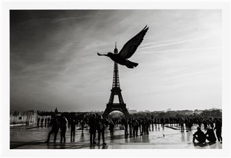 Bird - Alessandro Dobici