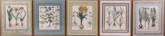 TULIPA SEROTINA STELLATA; HYACINTHUS SEROTINUS; LILO NATEILLUS HEMEROCALLI DIFACIE; SCABIOSA HISPANICA And HYACINTHUS ANGLICUS by Basilius Besler, 1561-1629