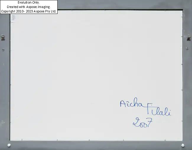 Artwork by Aïcha Filali, Untitled, 2007, Made of acrylic and collage on paper in Artist's frame