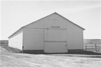 Robert Adams and Josef Albers in conversation: Zander Galerie explores shared artistic ground