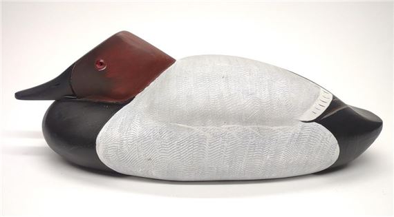 Doug Gates Tucked Head Canvasback Drake Duck Decoy by Doug Gates, 2011