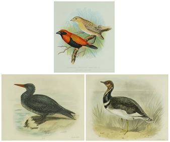 April 2025 Live Online Auction to include Antiques, Collectables and Jewellery - Eastbourne Auctions