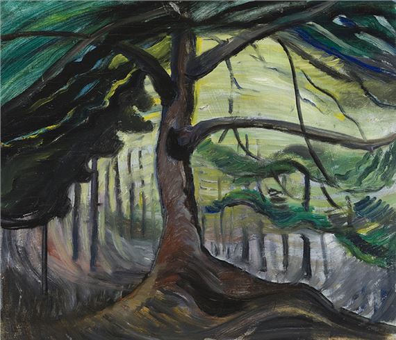 West Coast Forest Tree