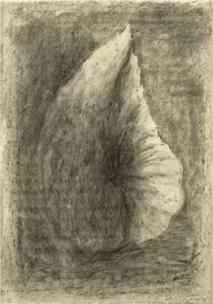 Untitled - Andrea Fogli