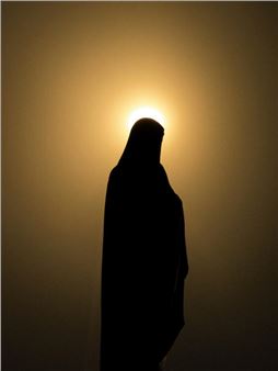 Photosynthesis XX - Griffin Museum of Photography