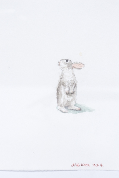 Artwork by Graeme Drendel, Drawn from Life, Made of watercolour on paper