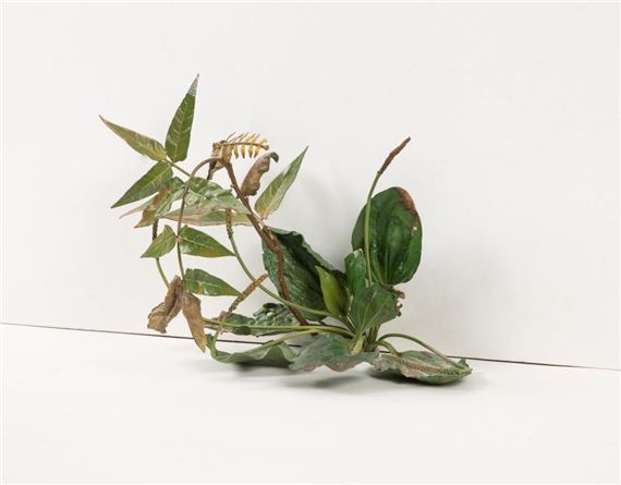 Tony Matelli | Weed (2009) | MutualArt