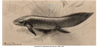 Australian Lung Fish, Bluefish, Bullhead Catfish, Electric - James Carter Beard