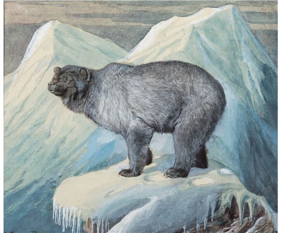 Canadian Lynx and Glacier Bear (two works) - James Carter Beard