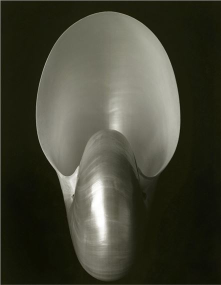 Luke Forman: The Feminine Sea at The Muse Gallery