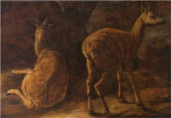 study of two deer - Pieter Boel