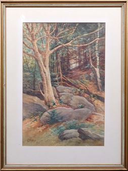 Wooded Glen - N. B. Munroe