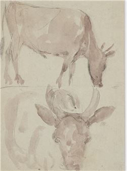 Cows Grazing - Michael Healy