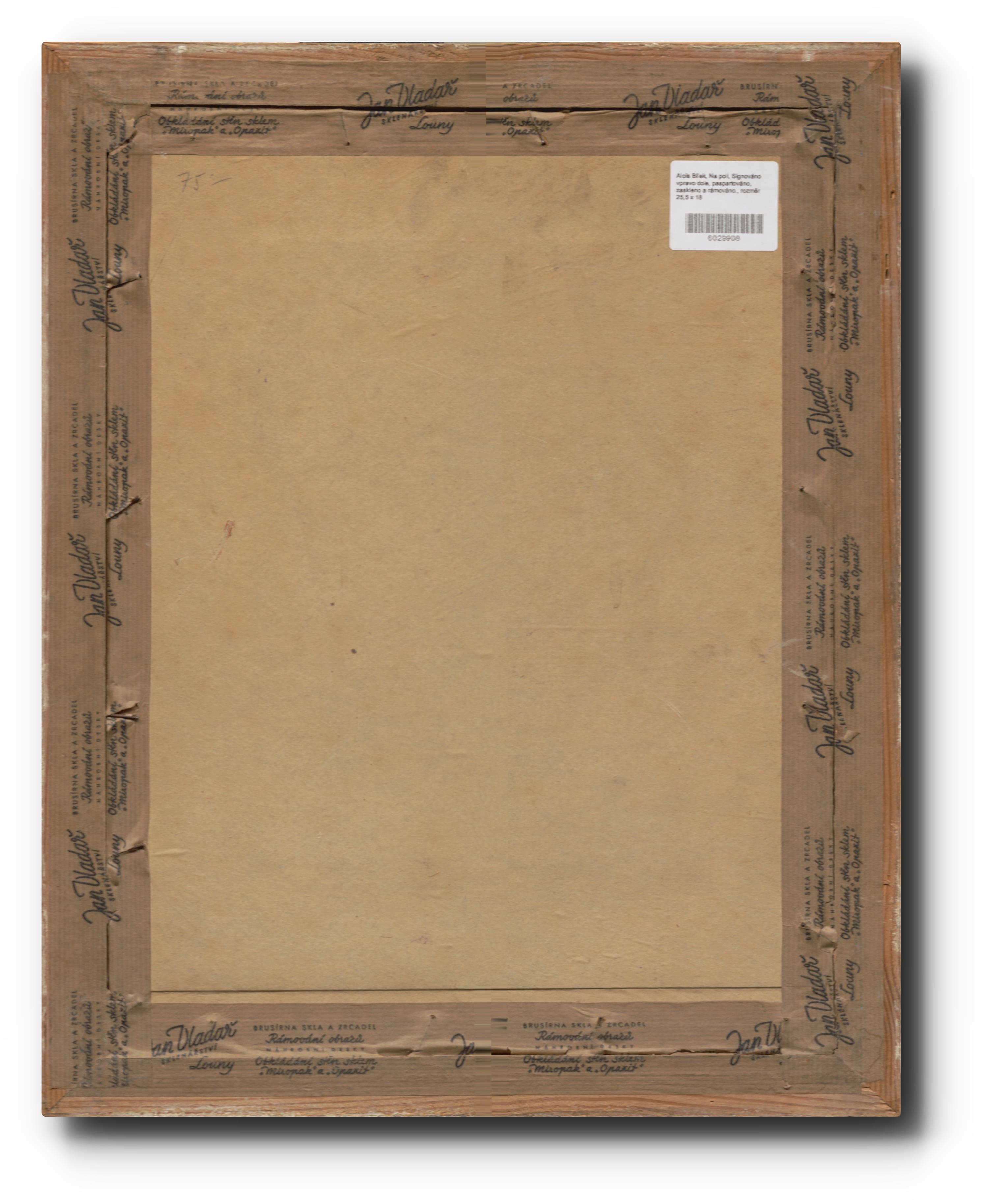 Artwork by Alois Bílek, 262. Na poli, Made of drawing