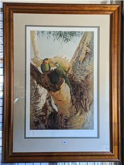 AUSTRALIAN LIMITED EDITION PRINT, A large well frame quality print depicting a pair of superb parrots - Krystii Melanie