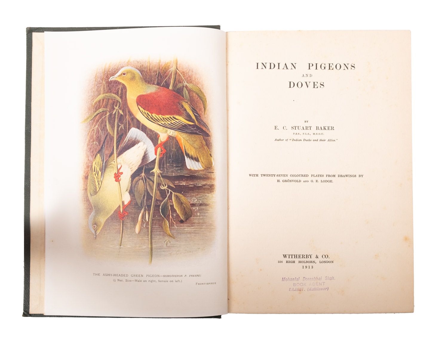 Artwork by C. Stuart, NATURAL HISTORY. HUMPHREYS, Henry Noel & WESTWOOD, J.O, Made of ink