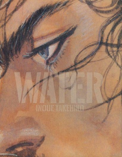 Vagabond Water Magnificent artbook containing Gand Inoue's - Takehiko Inoue
