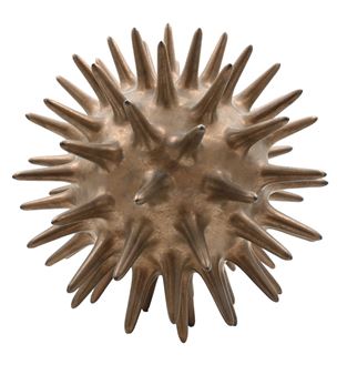 “Stella” (Sprocket) - Pamela Sunday