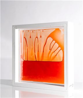 “Vetroliquido rosso” - Giovanni Anceschi