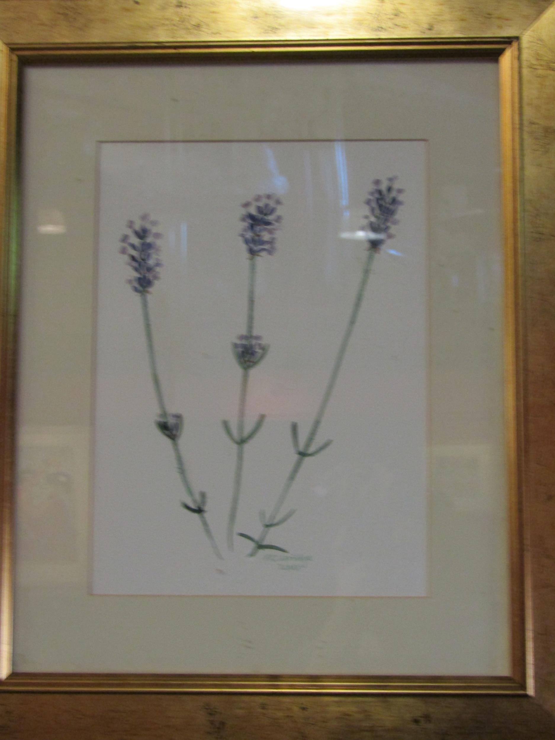 Artwork by Sylke Claridge, SYLKE CLARIDGE: A trio of floral still life, Made of watercolours