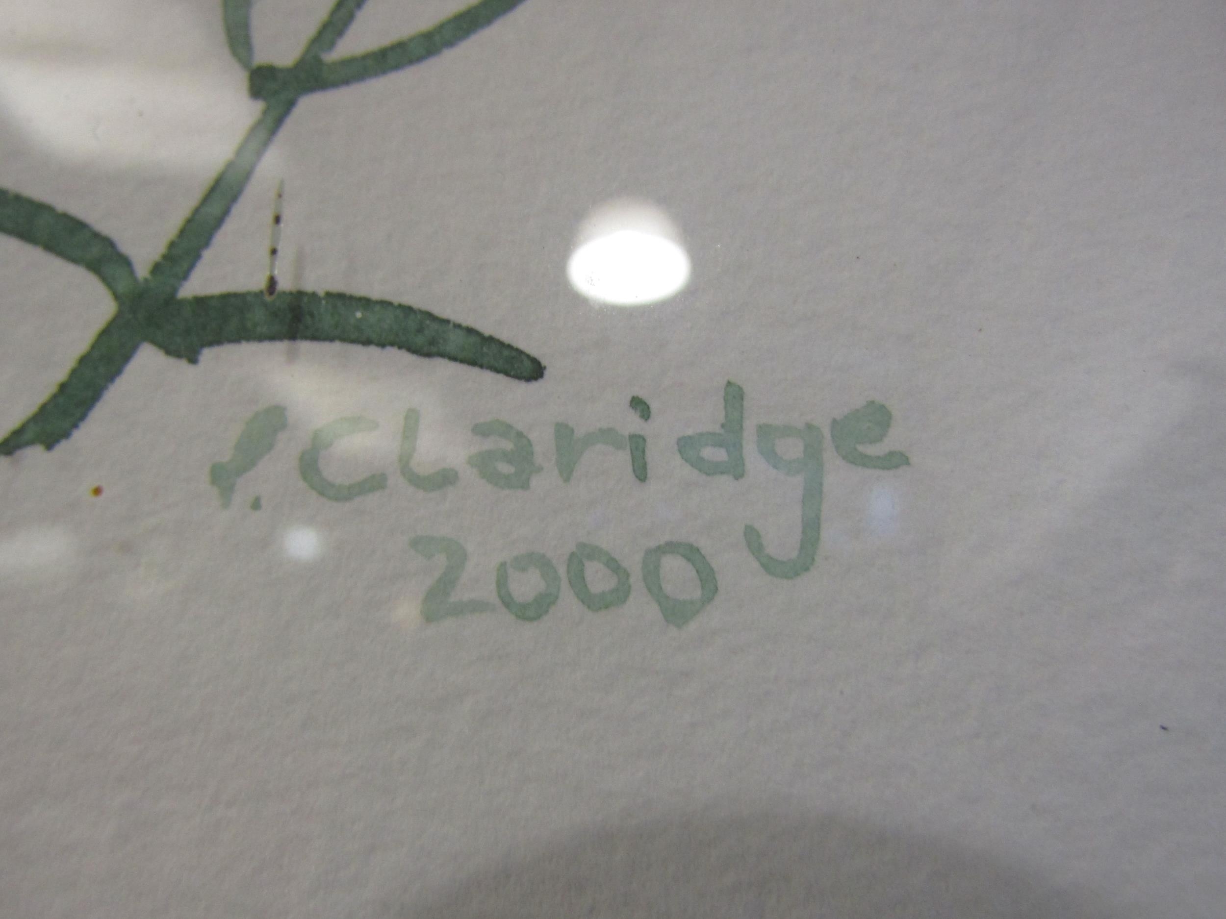 Artwork by Sylke Claridge, SYLKE CLARIDGE: A trio of floral still life, Made of watercolours