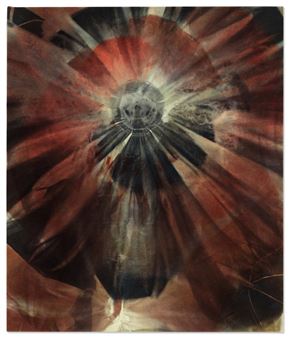 Floating Head 1 - Andra Ursuta