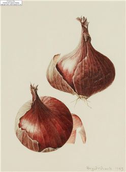 Red Onions - Brigid Edwards