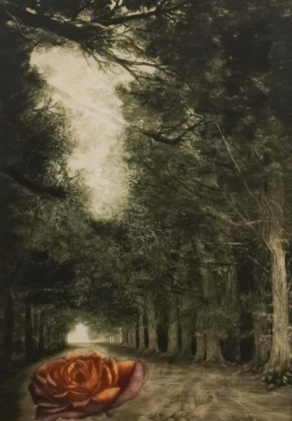 Gatja Helgart Rothe | Solitude | MutualArt