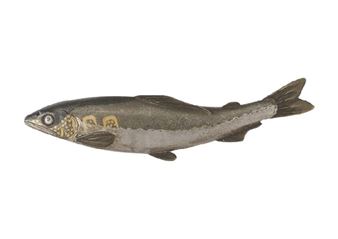 Metal ornament: Fish - Unno Shomin