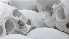 Ron Mueck