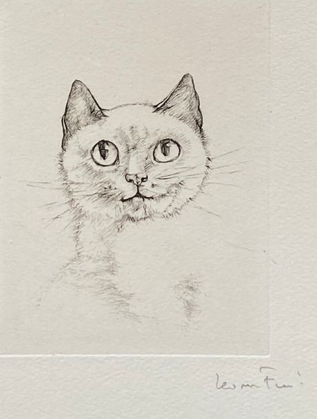 Leonor Fini | Head of a Cat | MutualArt