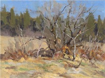 First of Spring, 1986 - Chris Burgeson