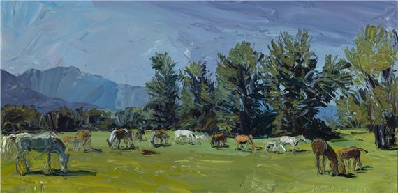 Grey Stallion & His Band by Louisa McElwain