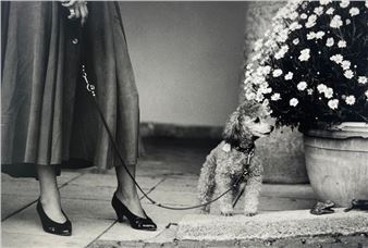 Dog and mistress - Thierry Valencin