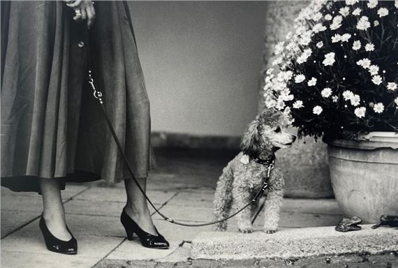 Dog and mistress by Thierry Valencin