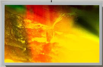 The Romantic Transformation of Loneliness Into a Trade - Basim Magdy