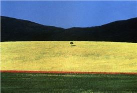 Franco Fontana